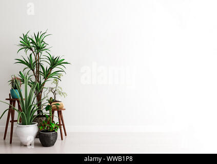 Mock up parete con gruppo di piante da appartamento in vaso in interni moderni sfondo, momento di contemplazione, stile scandinavo, 3D rendering 3D illustrazione Foto Stock