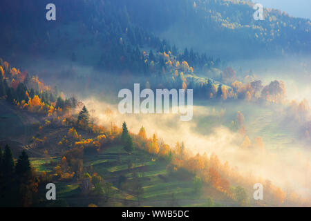 Incandescente la nebbia di mattina. Uno splendido scenario del fenomeno della natura in autunno a sunrise. alberi su per la collina di colori autunnali. imponente vista dall'alto Foto Stock