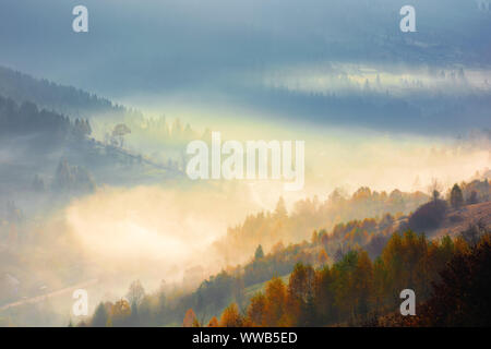 Incandescente la nebbia di mattina. Uno splendido scenario del fenomeno della natura in autunno a sunrise. alberi su per la collina di colori autunnali. imponente vista dall'alto Foto Stock