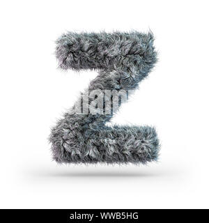 Lettere maiuscole soffice e peloso font grigio. Lettera Z. il rendering 3D Foto Stock