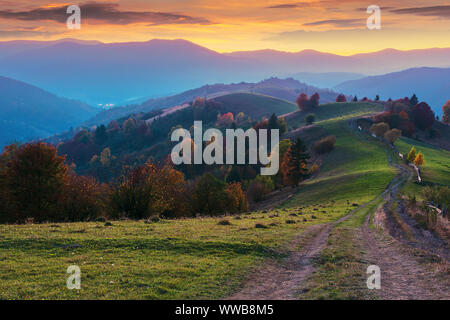 Montagna campagna al tramonto. bellissimo paesaggio autunnale. alberi lungo il percorso attraverso la zona collinare area rurale. Carpazi borzhava ridge al di sotto di un gol incandescente Foto Stock