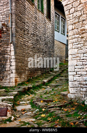 Un tipico vicolo di pietra nel villaggio di Dilofo, una delle più belle greco villaggi montuosi,, Zagori Ioannina, Epiro, Grecia. Foto Stock