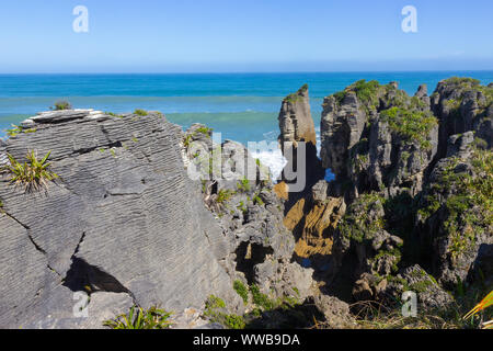 Punakaiki Pancake Rocks e soffiature a piedi, Paproa, Nuova Zelanda Foto Stock