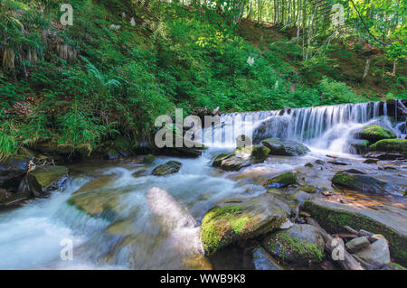 Flusso di foresta con cascate e rocce di muschio. splendido scenario estivo sulla mattina di sole. lunga esposizione del flusso di acqua. pianta verde sulla riva del Shypot Foto Stock