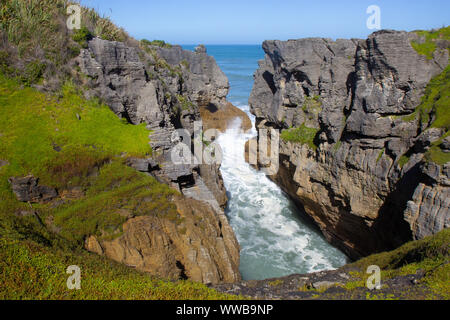 Punakaiki Pancake Rocks e soffiature a piedi, Paproa, Nuova Zelanda Foto Stock