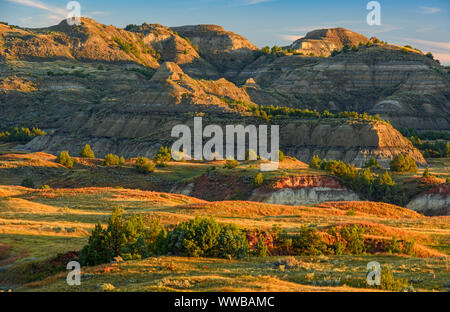 Il badlands in tarda estate, da Buck Hill, Parco nazionale Theodore Roosevelt (Sud), il Dakota del Nord, STATI UNITI D'AMERICA Foto Stock