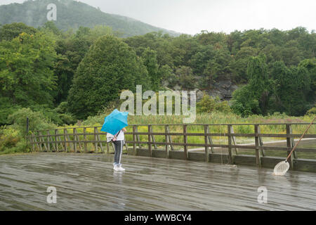 In una nebbiosa, Rainy day presso Bear Mountain State Park, i visitatori possono ammirare la vista e i pescatori catturati pesci gatto blu e granchi di fiume Hudson. Sett. 2, Foto Stock