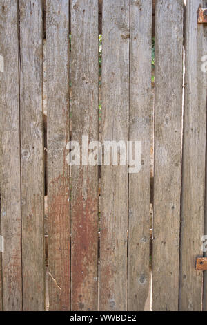 Recinzione dal vecchio weathered tavole di pino. La texture naturali di legno invecchiato. Il Tarlo fori di chiodi arrugginiti. Creative sfondo vintage Foto Stock