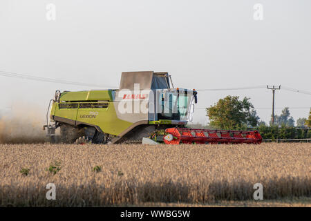 Claas Lexion 750TT Mietitrebbia al lavoro Foto Stock