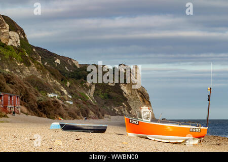 Vista est sulla spiaggia di Branscombe, Devon, Regno Unito Foto Stock