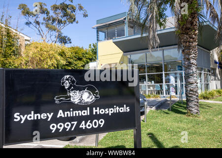 Sydney animal hospital e la IFP in Newport Beach,Sydney , Australia Foto Stock