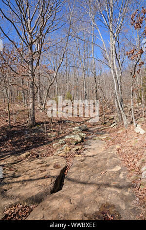 Sentiero roccioso attraverso una foresta di inverno in Devils Den parco dello stato in Arkansas Foto Stock