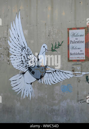 "La Colomba blindato" dipinto attribuito a Banksy, di una colomba della pace di indossare un giubbotto antiproiettile dipinto in una parete in corrispondenza della periferia della città di Betlemme in central West Bank. Territori palestinesi, Israele Foto Stock