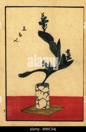 Composizione floreale giapponese con daisy, foglia, vaso e vassoio. Woodblock Handcolored hanga incisione da un libro di scuola Shinshintei di Ikebana, 1835. Foto Stock