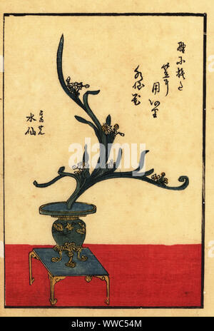 Composizione floreale giapponese con daffodil, vaso e vassoio. Woodblock Handcolored hanga incisione da un libro di scuola Shinshintei di Ikebana, 1835. Foto Stock