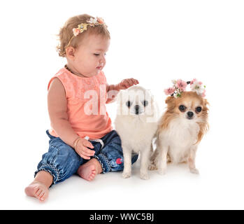 Bambino e cane in font di sfondo bianco Foto Stock