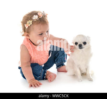 Bambino e cane in font di sfondo bianco Foto Stock