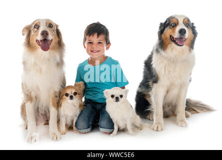 Bambini e cani in font di sfondo bianco Foto Stock