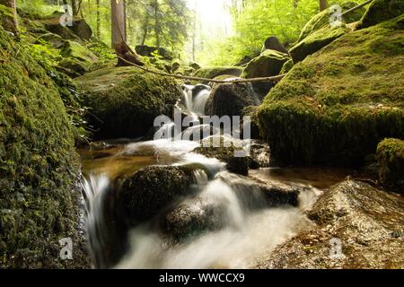 La Foresta Nera ist una delle più belle nature in Germania Foto Stock