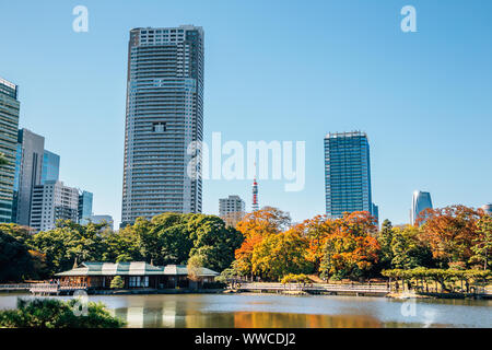 Giardini Hamarikyu e moderni edifici in autunno a Tokyo in Giappone Foto Stock