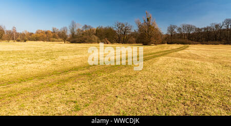 Inizio primavera prato con alberi intorno, sentiero e cielo chiaro a inizio primavera CHKO Poodri in Repubblica Ceca Foto Stock