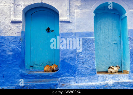Vista la peculiare architettura blu di Chefchaouen nel nord-ovest del Marocco. Foto Stock