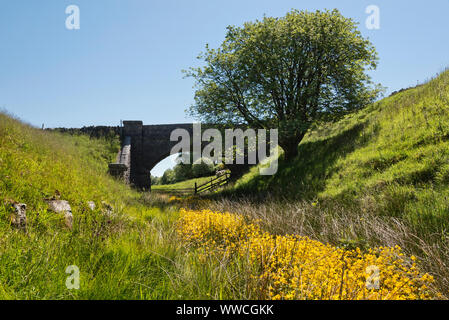 Il brano letto del Wensleydale in disuso la linea ferroviaria vicino Garsdale, Yorkshire Dales National Park, Regno Unito. Foto Stock