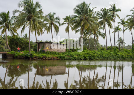 Manmade pesci e gamberetti aziende agricole situate in Goa che posteriore e razza pesci e gamberetti/i gamberetti per consum locale Foto Stock