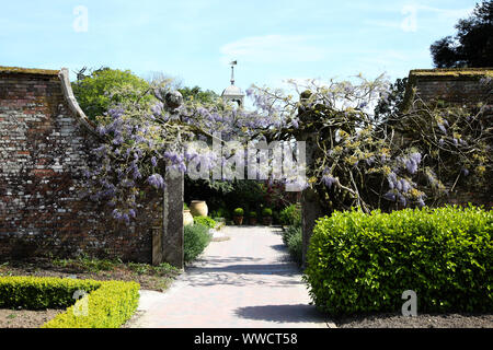 Il Lost Gardens of Heligan, Cornwall, Inghilterra Foto Stock