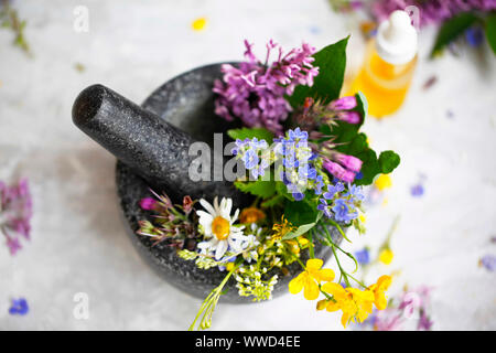 La medicina di erbe. Mortaio e pestello con piante officinali e aromatiche, medicina alternativa con piante, oli e fiori Foto Stock