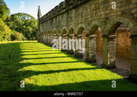 Regno Unito, County Durham, Bishop Auckland, il Castello, il parco dei cervi, 1760 Casa cervi, collonade Foto Stock