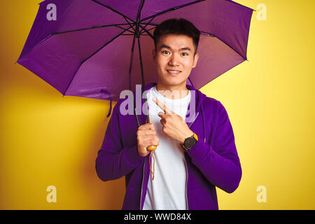 Asian uomo cinese indossando ombrello viola in piedi isolato su sfondo giallo molto felice puntando con mani e dita Foto Stock