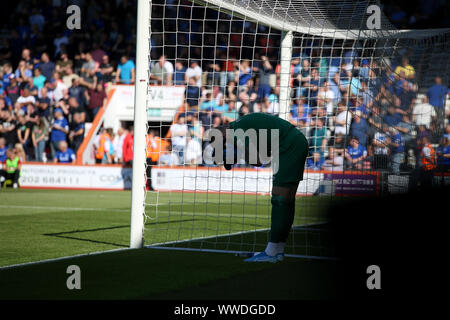 Bournemouth, Regno Unito. Xv Sep, 2019. La Giordania Pickford di Everton durante il match di Premier League tra Bournemouth e Everton presso la vitalità Stadium, Bournemouth, Inghilterra il 15 settembre 2019. Foto di Tom Smeeth. Solo uso editoriale, è richiesta una licenza per uso commerciale. Nessun uso in scommesse, giochi o un singolo giocatore/club/league pubblicazioni. Credit: UK Sports Pics Ltd/Alamy Live News Foto Stock