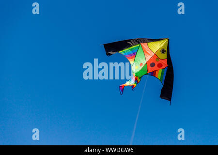 Vivacemente colorato aquilone nel vento su un cielo blu senza nuvole.sentire la libertà Foto Stock