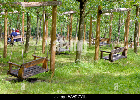 Svuotare albero giardino oscilla in estate Foto Stock