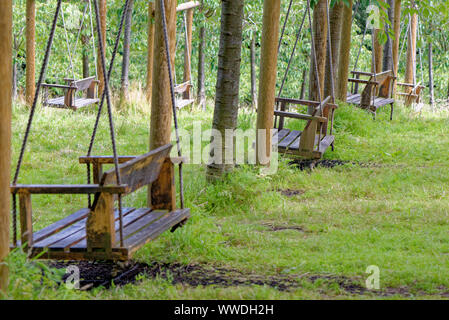 Svuotare albero giardino oscilla in estate Foto Stock