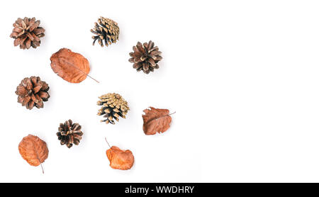Foglie secche e pigne su uno sfondo bianco. Composizione d'autunno. Autunno sfondo. Copia dello spazio. Foto Stock