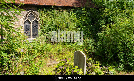 COLCHESTER, ESSEX - 11 AGOSTO 2018: Cimitero dell'ex Chiesa di tutti i Santi - ora il Museo di Storia Naturale di Colchester Foto Stock