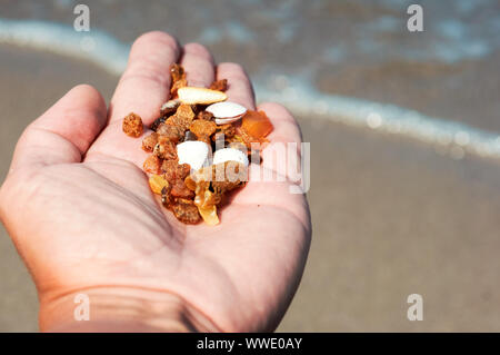 Ambra grezza in mano, ambra pietre nel palmare Palm Foto Stock