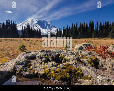 Grand Park, il Monte Rainier, Washington Foto Stock