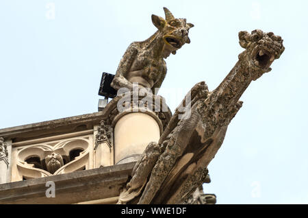 Due doccioni sembrano urlare nei tormenti alla sommità della torre d'ingresso della casa di Biltmore in Asheville, NC, Stati Uniti d'America Foto Stock