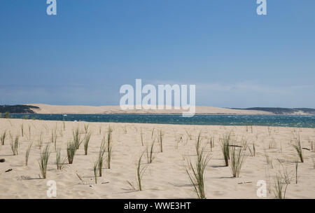 Promontorio di Cap Ferret & Grande Dune du Pilat Foto Stock