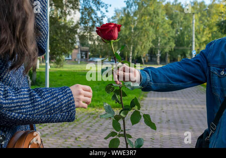 Nel parco della città sul sentiero una mano d'uomo tiene fuori e dà la ragazza una rosa rossa fiore Foto Stock