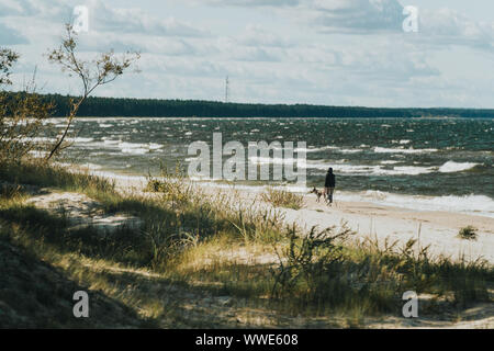 Una persona solitarie passeggiate un cane su un Mar Baltico beach in Lettonia Foto Stock