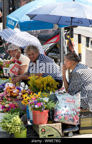 Belgrado, Serbia - Luglio 30, 2019: tre donne anziane seduto sotto gli ombrelloni e la vendita di fiori in strada in estate Foto Stock