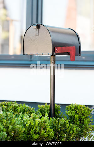 Metallo nero mailbox vicino a cespugli verdi vicino casa Foto Stock