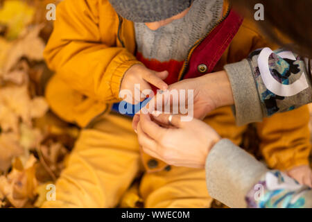 Un piccolo ragazzo in un parco in autunno si siede su foglie di giallo in una giacca gialla e mantiene una coccinella in bambini con le mani in mano. Un rosso coleottero scansioni sulle dita di Foto Stock