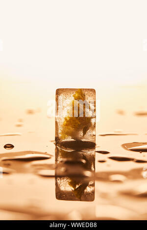 Trasparente cubo di ghiaccio congelato con fiore giallo su sfondo illuminato Foto Stock