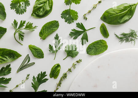 Vista superiore del round superficie di marmo vicino al timo, rosmarino, basilico, aneto, menta piperita, il coriandolo e il prezzemolo foglie su sfondo bianco Foto Stock