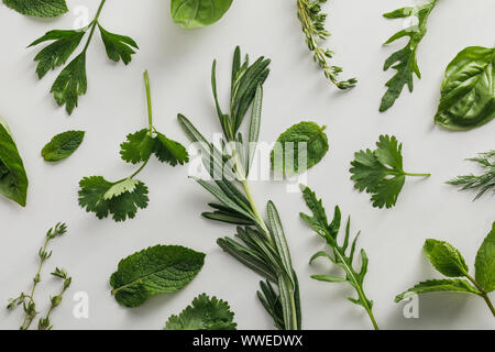 Vista dall'alto di rucola, il basilico, il coriandolo, aneto, prezzemolo e rosmarino e rametti di timo su sfondo bianco Foto Stock